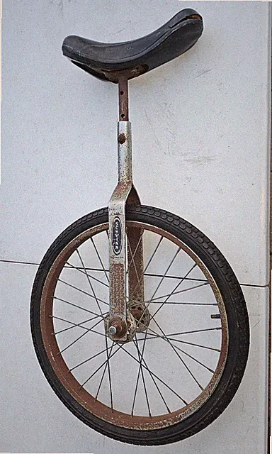 1970"s Schwinn Vintage Unicycle! NEEDS PEDALS. Used Condition. See Photos.