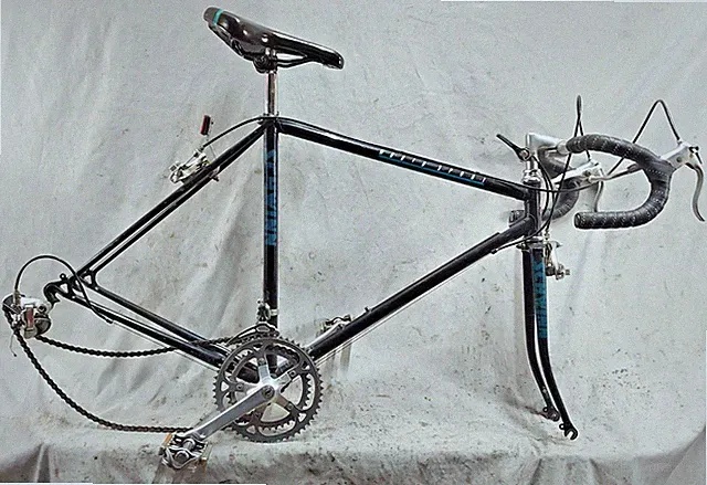 1984 Schwinn World Sport Road Bike Frame Set Small 54cm Chromoly Lugged Steel :)