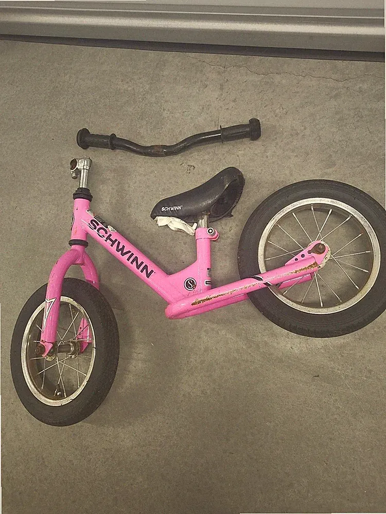 Pink 12-Inch Balance Bike for Toddlers with Padded Seat - Schwinn