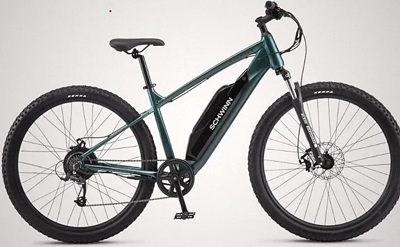 Roanoke Electric Mountain Bike
