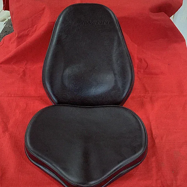 Schwinn 203 Recumbent Bike Seat and Back Rest (MPN 18051/18088