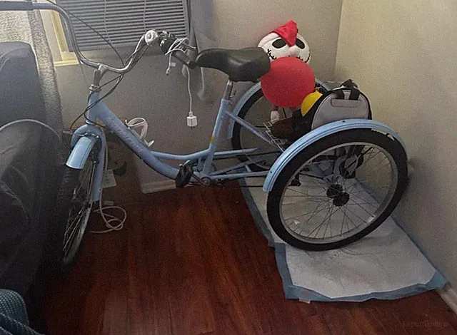 Schwinn Adult Tricycle Bike with Large Rear Basket