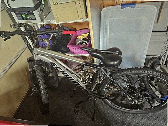 Schwinn AL Comp 29in 20in 21-Speed Silver MTB, Mech Disc, Front Susp Flat