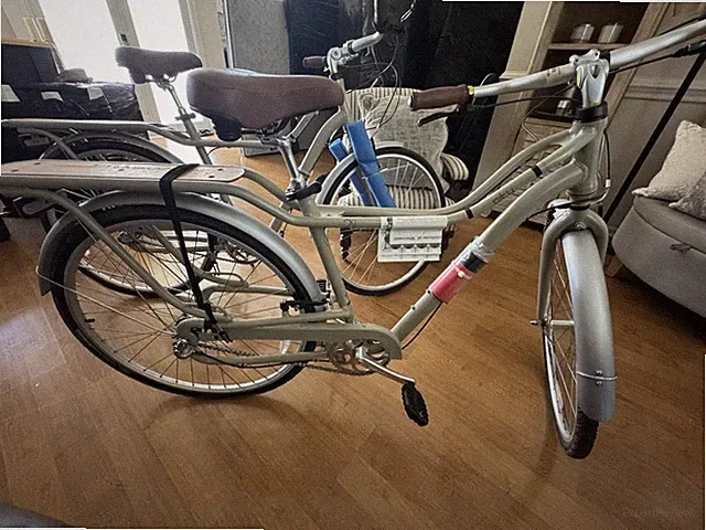 Schwinn City 2 Cruiser Bike 26in SM Sand 1-Speed Rim Brake Rack Fenders