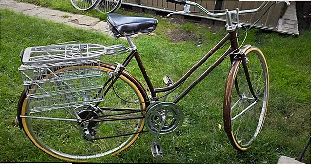 Schwinn City Bike 27in Small Steel Brown w/ Rear Rack Fenders Kickstand