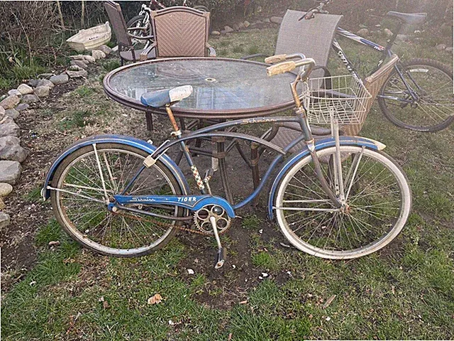 SCHWINN TIGER MENS CRUISER BICYCLE VINTAGE Blue Rare Local Pick Up