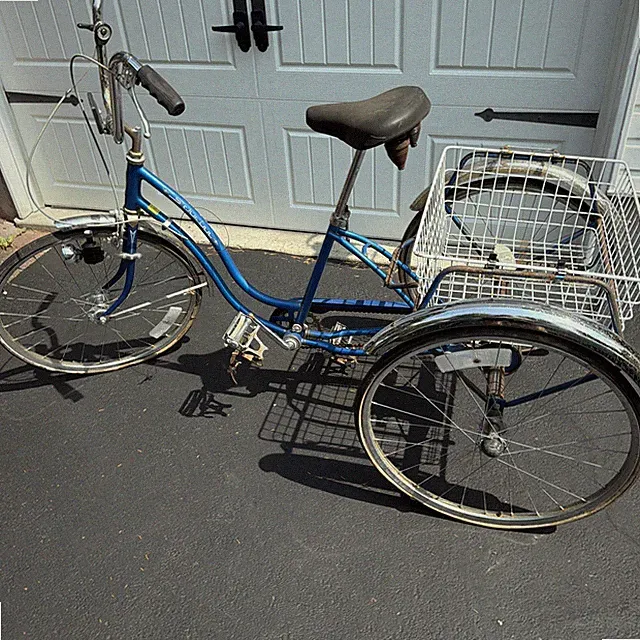 Vintage 1980 Schwinn Town and Country Tricycle Bike Blue Tri Wheel BR560486 AT2